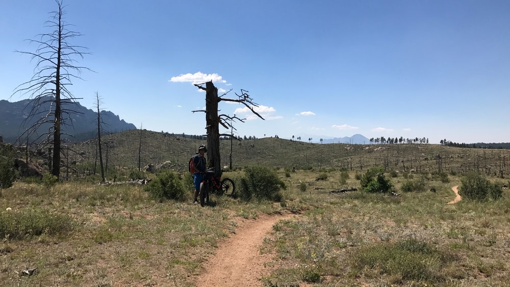 ct day 1 buff creek burn zone