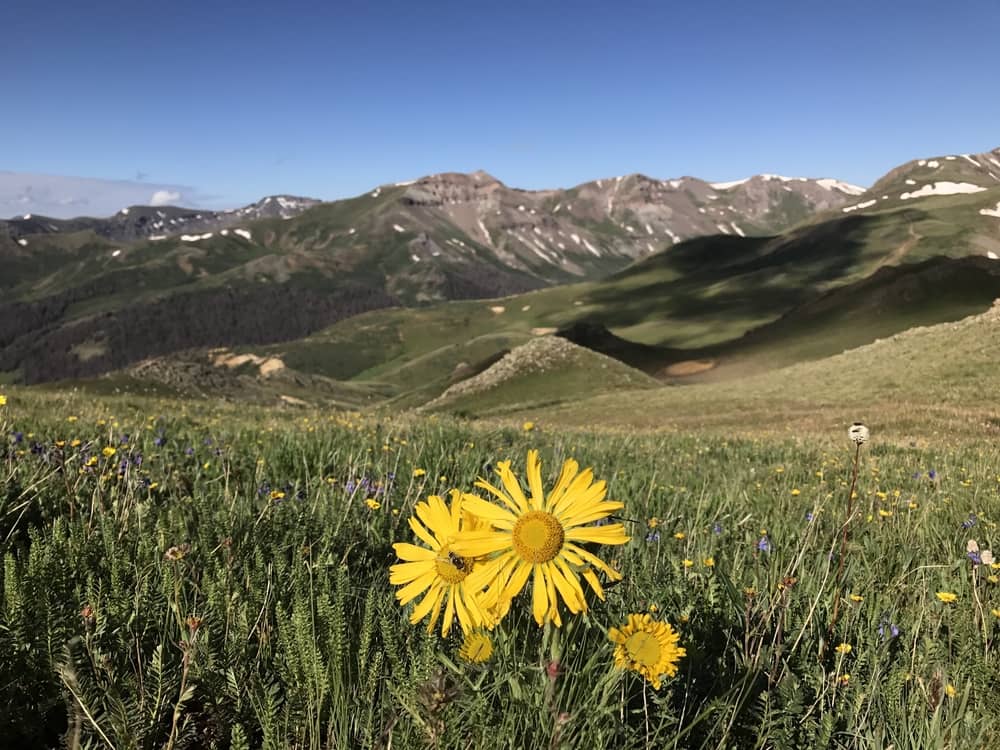 Silverton, Colorado Trail Day 13